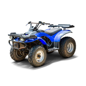 Lorem ipsum dolor sit amet, consectetur adipisicing elit